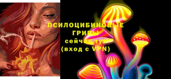 марки lsd Балахна