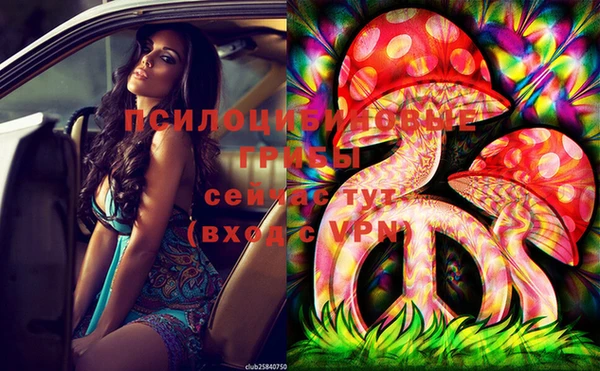 марки lsd Балахна