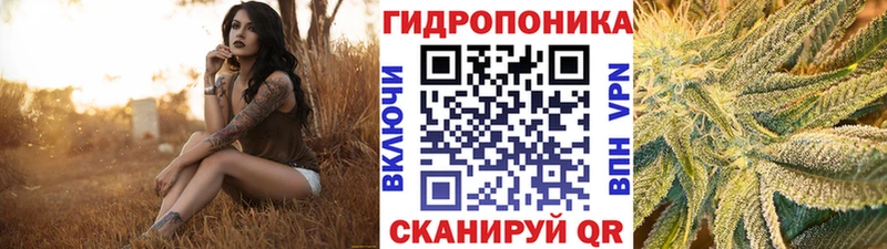 маркетплейс клад купить наркотик Нефтегорск Шишки марихуана гибрид